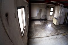 P1104614-edit_2-scaled