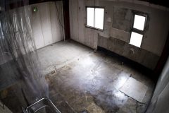 P1104615-edit_2-scaled