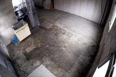 P1104616-edit_2-scaled